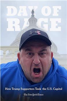 Day of Rage: How Trump Supporters Took the U.S. Capitol观看