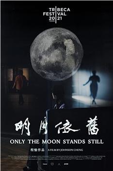 明月依旧观看