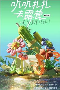 叽叽扎扎去露营观看