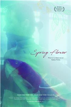 Spring Flower观看