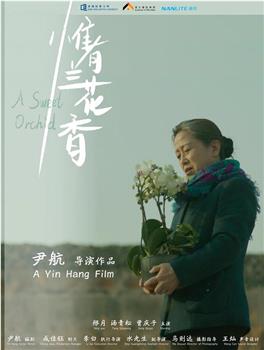 惟有兰花香观看