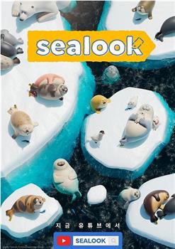 海豹看看观看