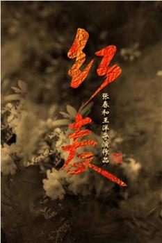 红麦观看