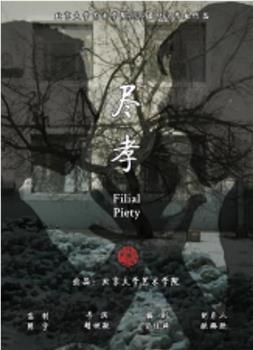 尽孝观看