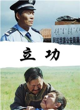 立功观看