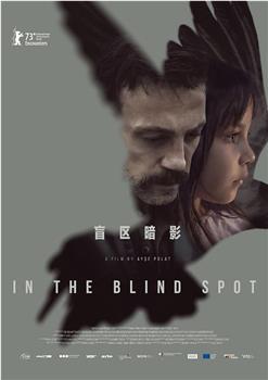 盲区暗影观看