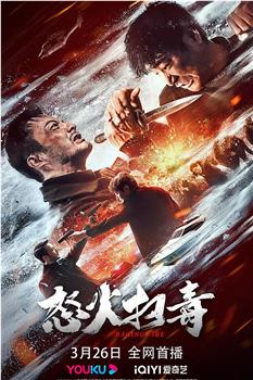 怒火扫毒观看