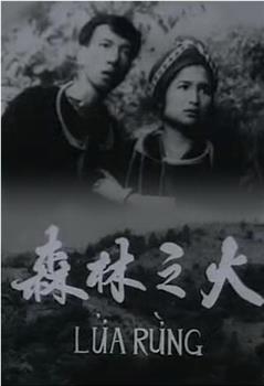 森林之火观看