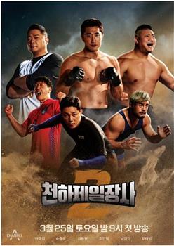 天下第一壮士2观看