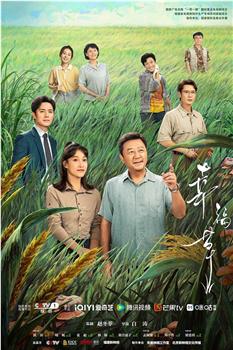 幸福草观看