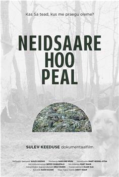 Neidsaare hoo peal观看