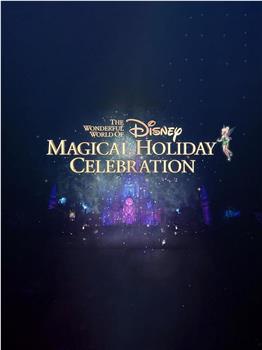 The Wonderful World of Disney: Magical Holiday Celebration 2022观看