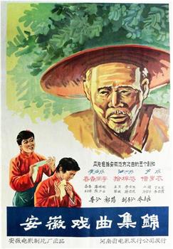 拾棉花观看