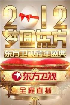 梦圆东方·2012东方卫视跨年盛典观看