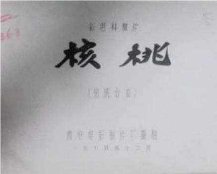 核桃观看