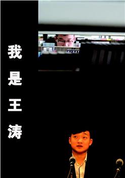 我是王涛观看