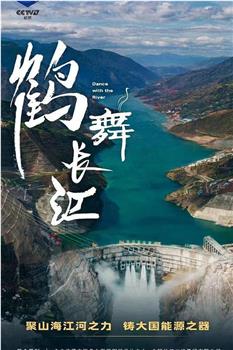 鹤舞长江观看