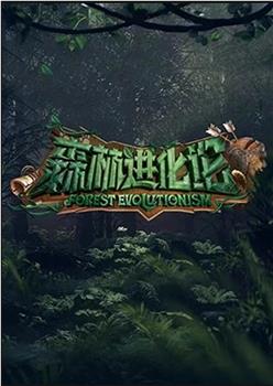 森林进化论观看