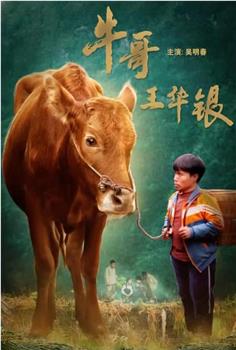 牛哥王华银观看