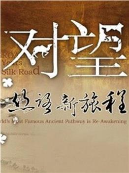 对望：丝路新旅程观看