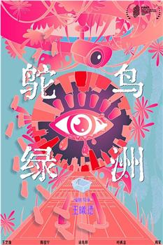鸵鸟绿洲观看