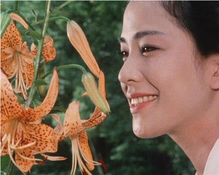 怪談 妖蝶の棲む館を観る观看