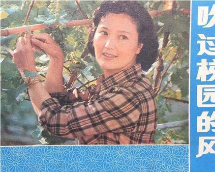 吹过校园的风观看