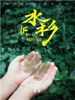 水杉观看