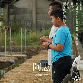阿志观看