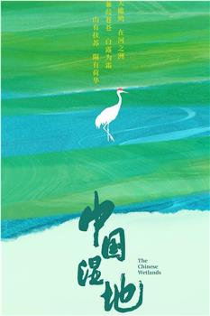 中国湿地观看