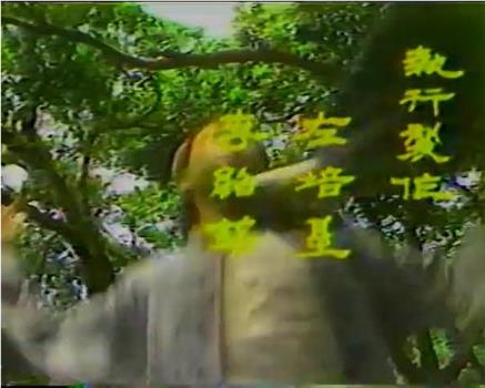 情海恩仇观看