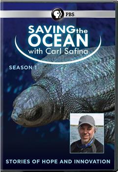 Saving the Ocean with Carl Safina Season 1观看