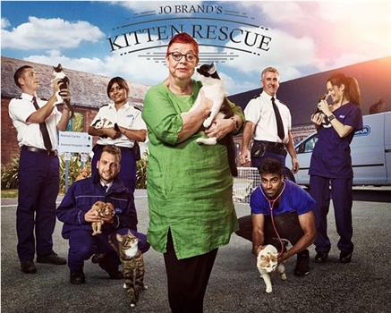 Jo Brand's Cats & Kittens Season 2观看