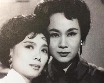 金夫人观看