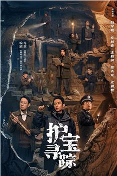 护宝寻踪观看