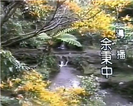 秋水伊人观看