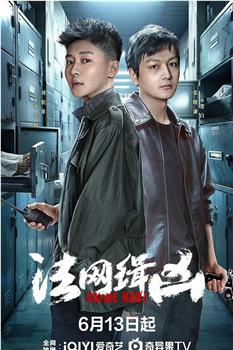 法网缉凶观看