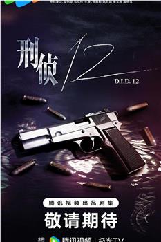 刑侦12观看