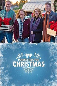 Poinsettias for Christmas观看