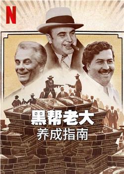黑帮老大养成指南观看