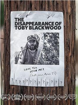 The Disappearance of Toby Blackwood观看