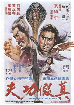 真假功夫观看