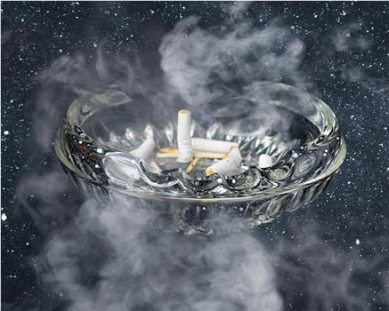 我的小星球观看