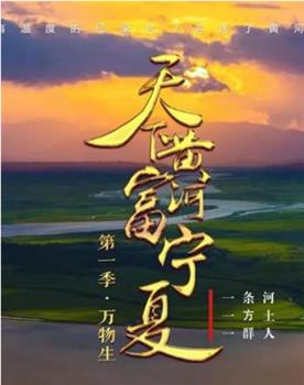 天下黄河富宁夏观看