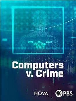 Computers v. Crime观看