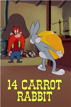 14 Carrot Rabbit观看