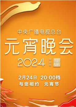 中央广播电视总台2024年元宵晚会观看