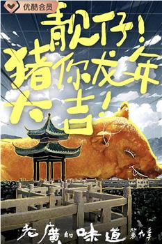 老广的味道 第九季观看