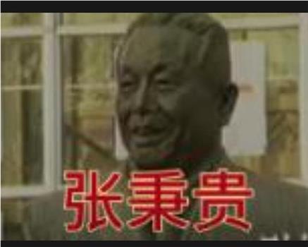 张秉贵观看
