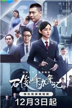 石俊峰办案记观看